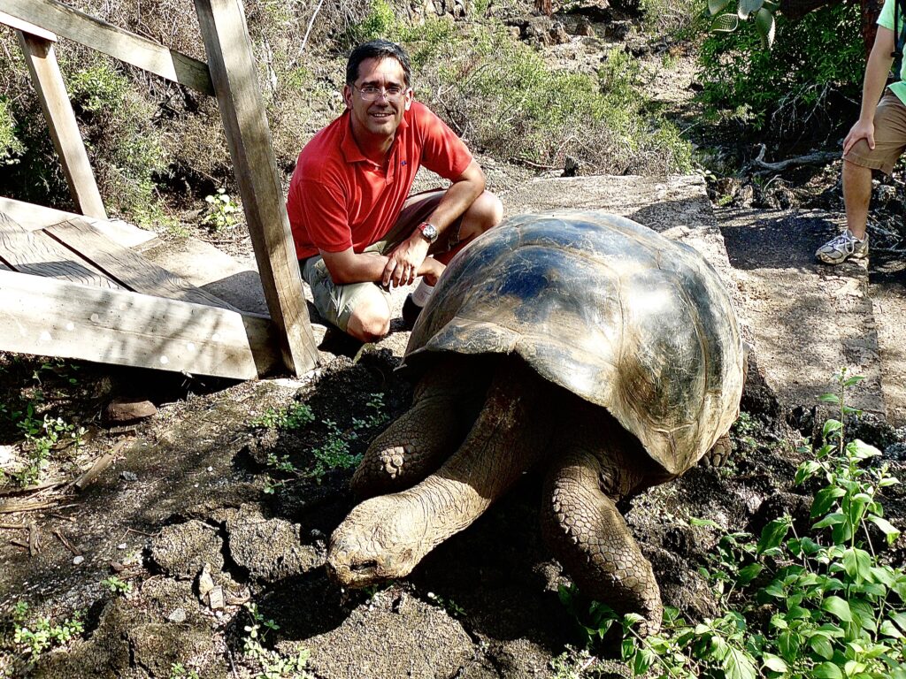 tortugas gigantes de las Islas Galápagos 