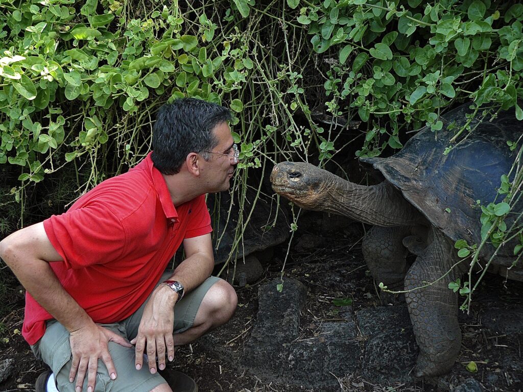 tortugas gigantes de las Islas Galápagos 