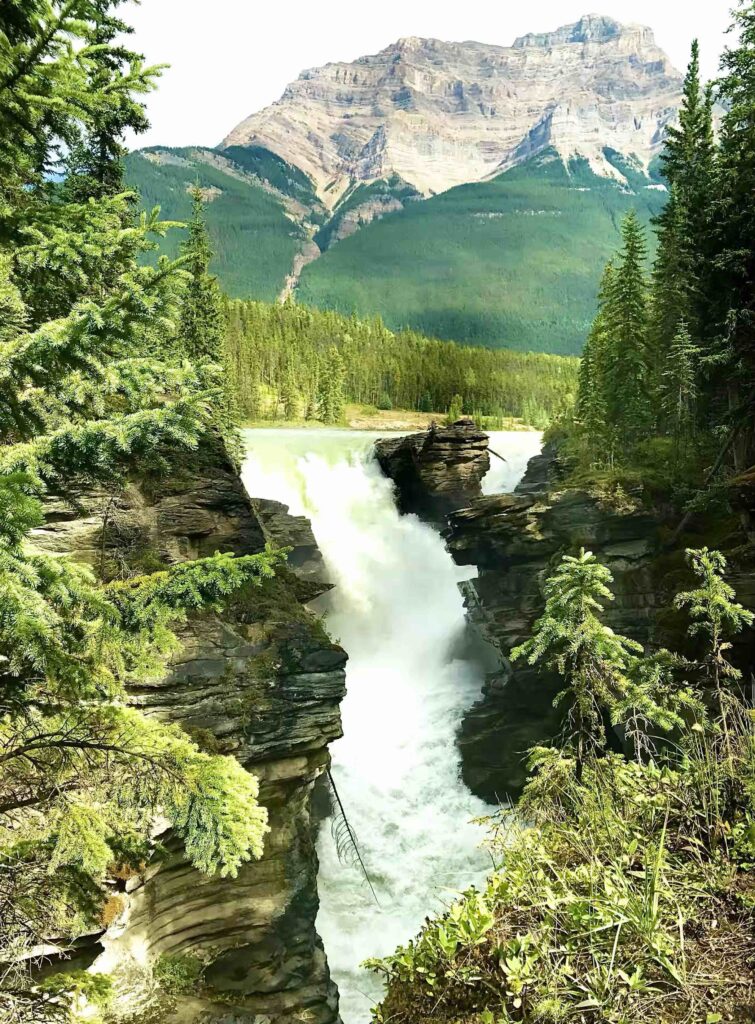 Athabasca Falls