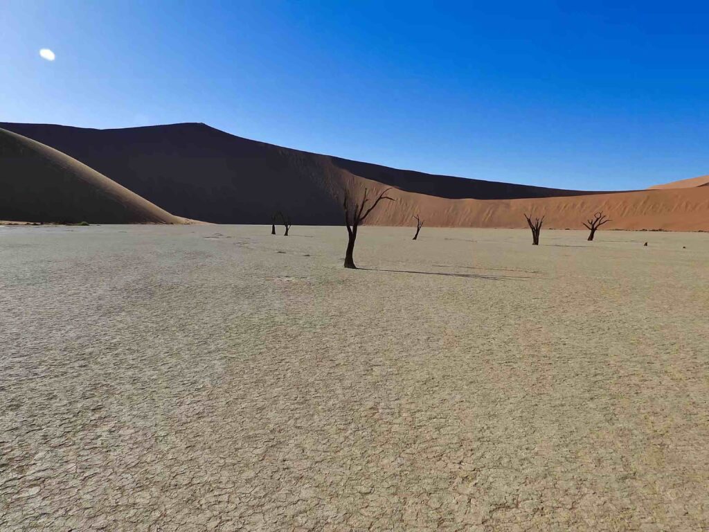 Desierto Namib