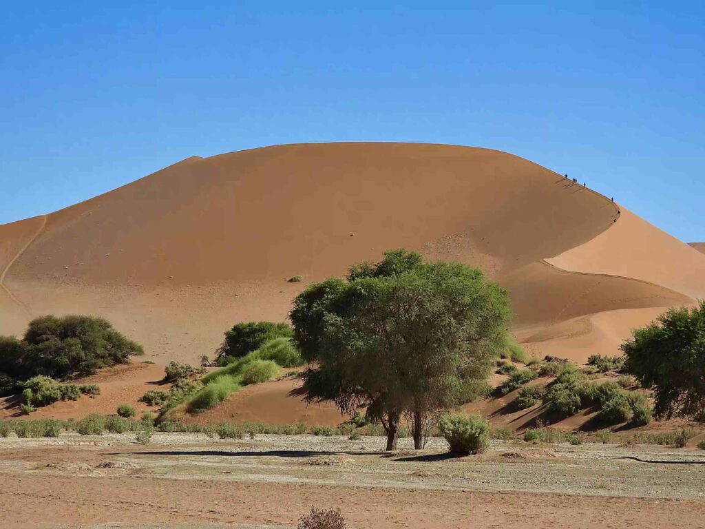 Desierto Namib