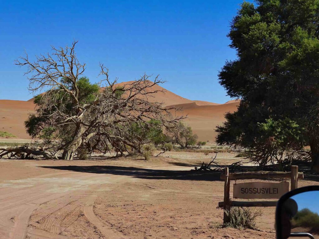 Desierto Namib