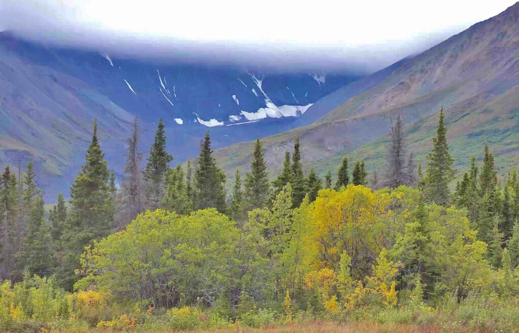 Alaska highway