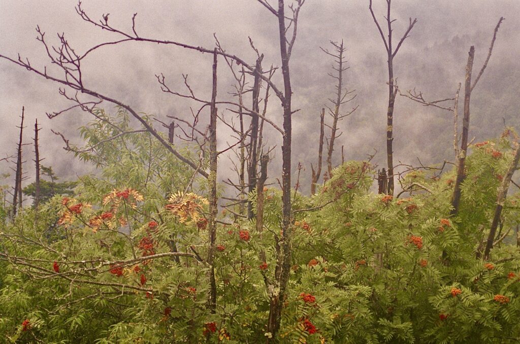 Blue Ridge Mountains